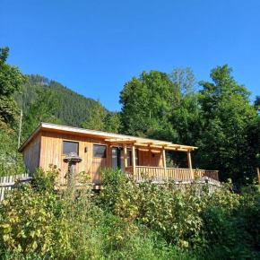 Tiny House am Steinergut Radstadt